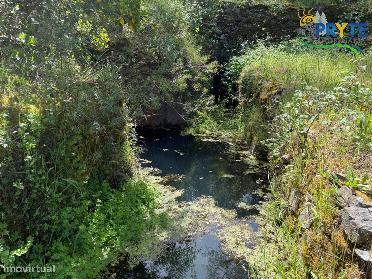 Terreno com uma ruína não registada a 6 quilómetros da Sertã-32