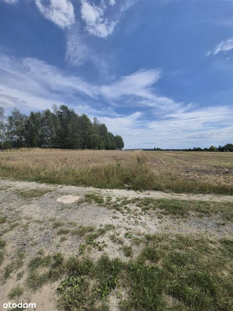 Działka, 5 500 m², Toszek-1