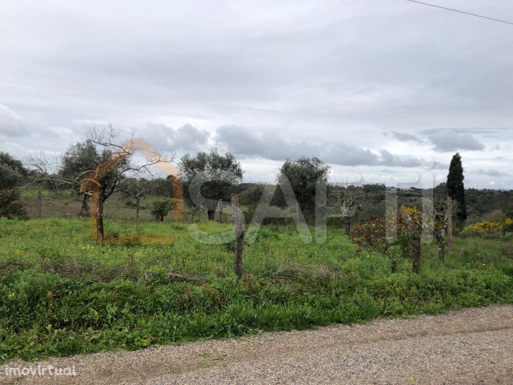 Terreno com 20.060 m2 em Resgais, Parceiros de Igreja, To...