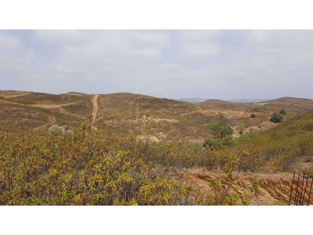 Terreno rústico em Tavira, Algarve - Grande imagem: 5/19