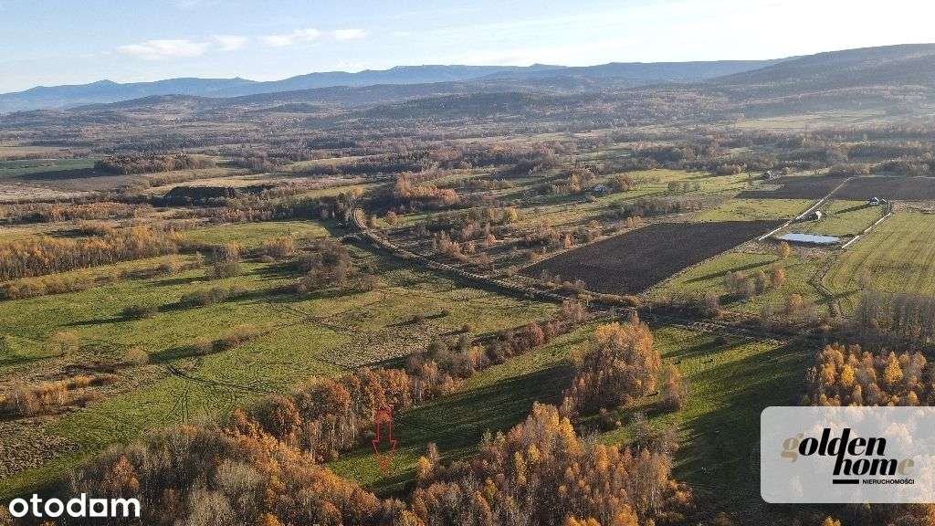 ⭐️60 ar – Grudza, ekspozycja południowa, las, DoWz - Pełny obrazek: 5/14