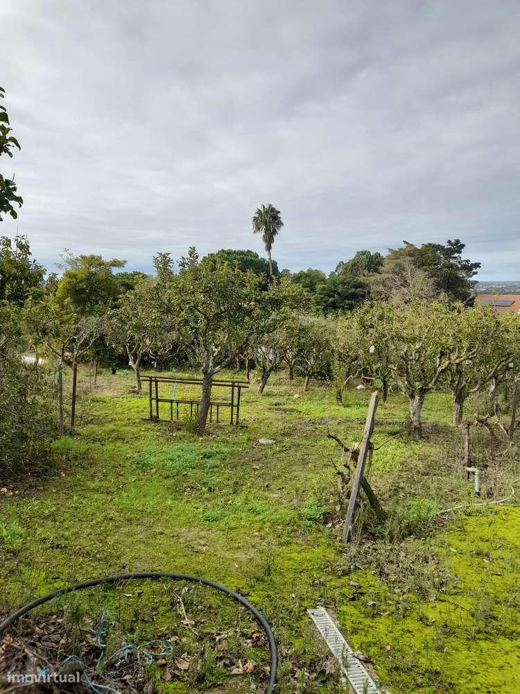 Azeitão/ Parque Natural Arrábida Quinta 7250 m2 com Moradia-40