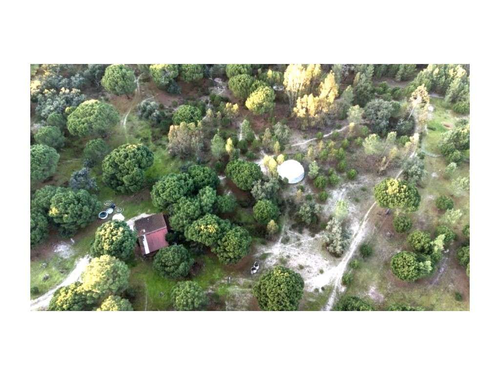 Monte Alentejano com 8,2 Hectares - Um Paraíso de Natureza e Sereni...-52