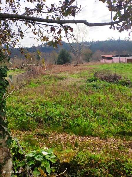 Terreno Construção 2182 m² - Parada de Gatim/Vila Verde - Grande imagem: 4/7