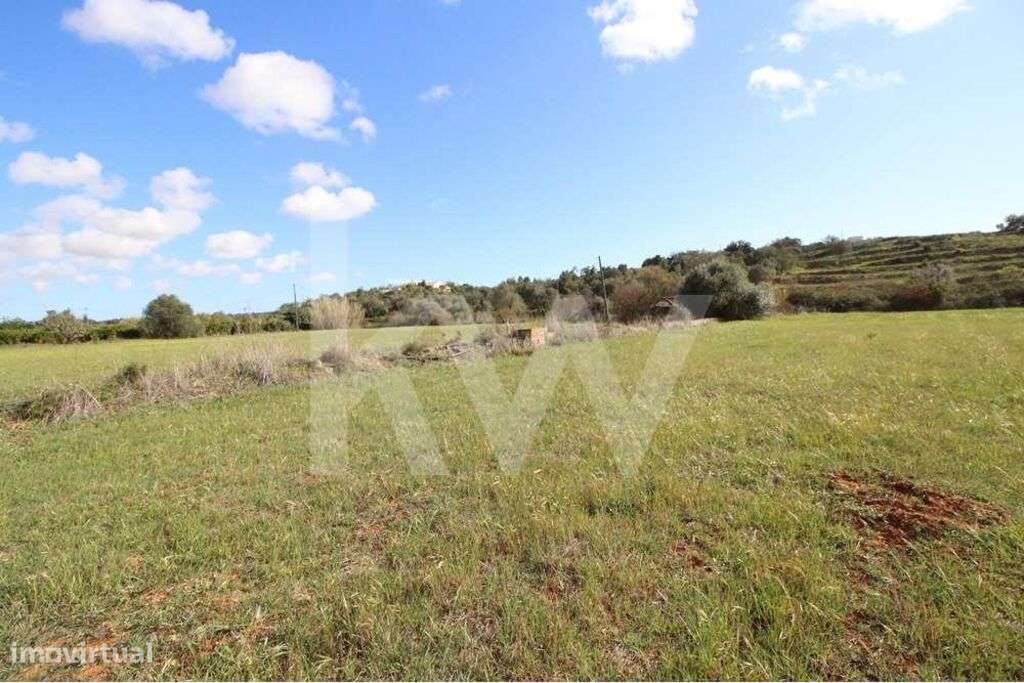 TERRENO RUSTICO, COM 16 120 M2, ELECTRICIDADE, BOM ACESSO, POÇO E NORA - Grande imagem: 5/27