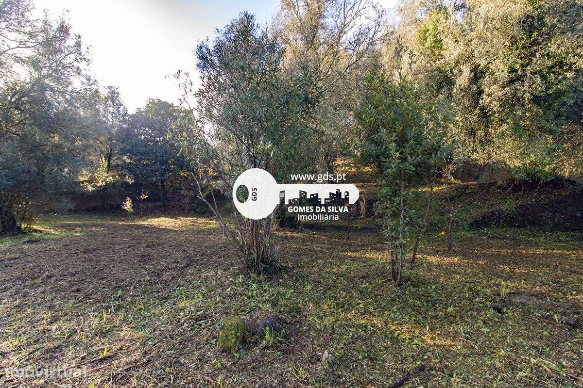 Duas moradias para recuperar com terreno de 1240m2 - Grande imagem: 4/21