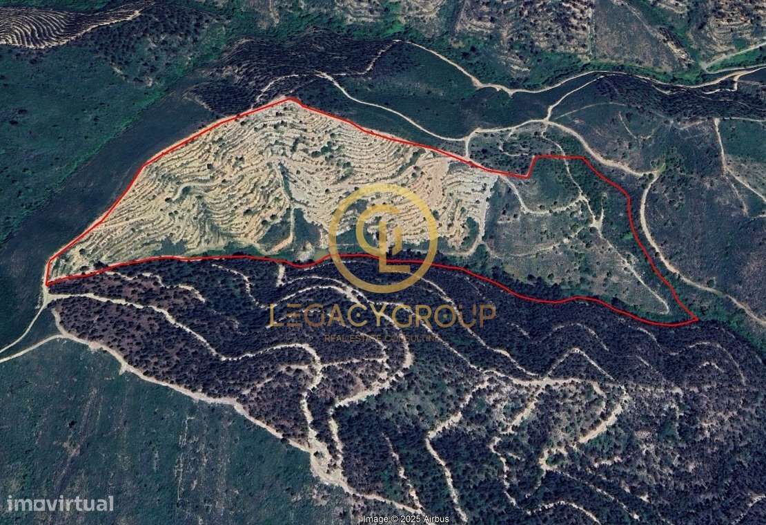 Propriedade de 10 hectares perto da barragem de Odelouca-35