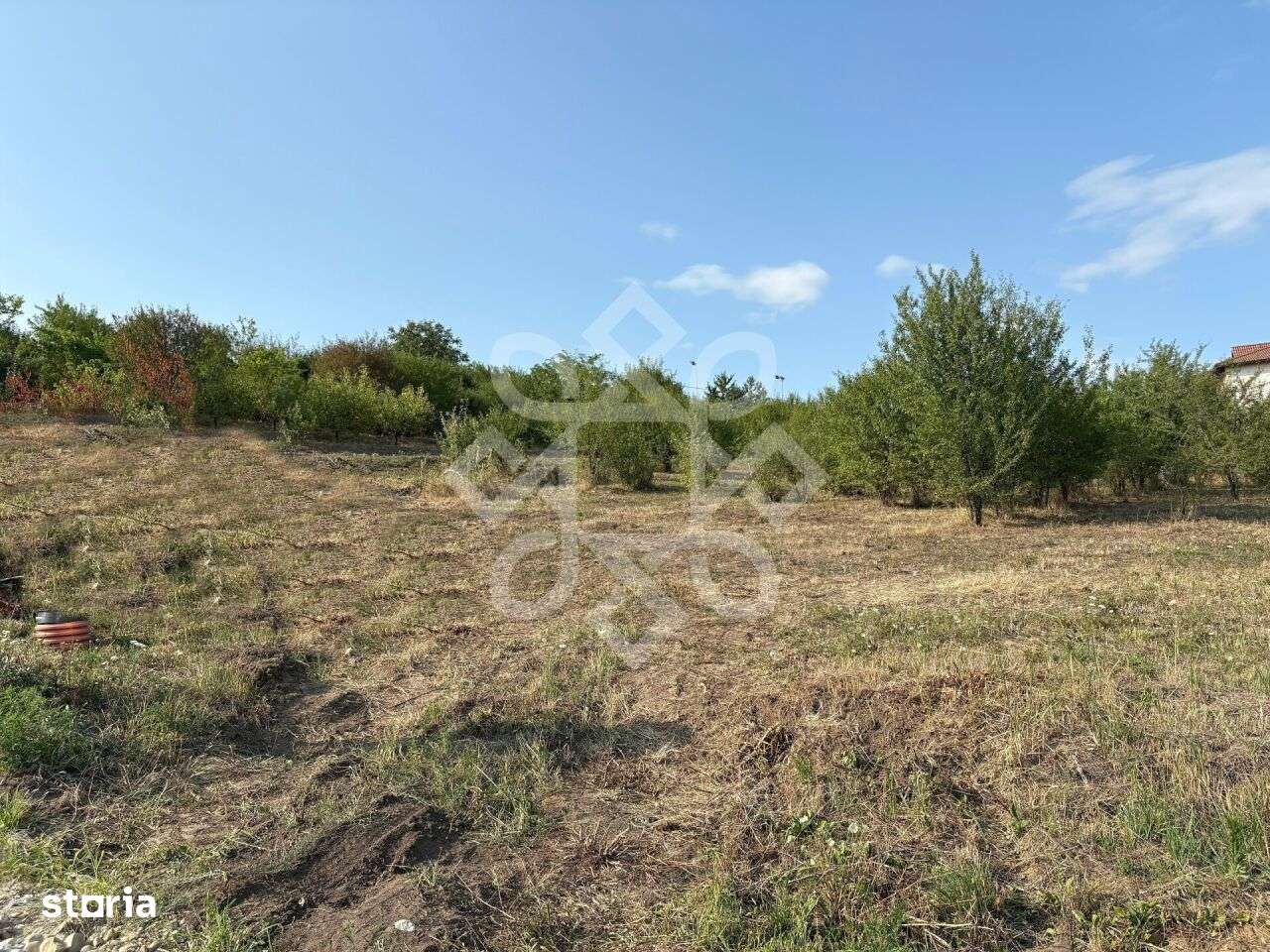 Teren intravilan de vanzare pe strada Soarelui, Oradea - Imagine principală: 4/10