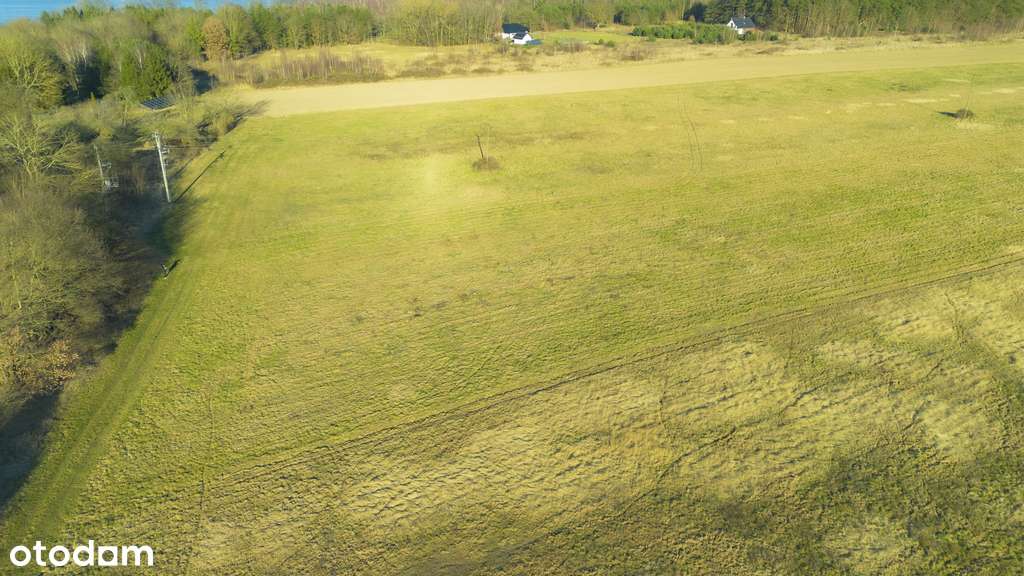 Piękne działki w sąsiedztwie lasu i zalewu - Pełny obrazek: 3/16