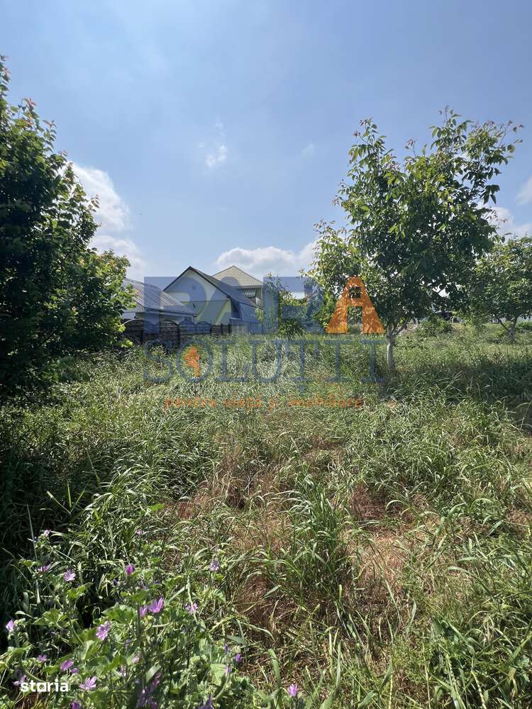 5200 mp intravilan - Str Viitorului (zona Abator) - Imagine principală: 4/5