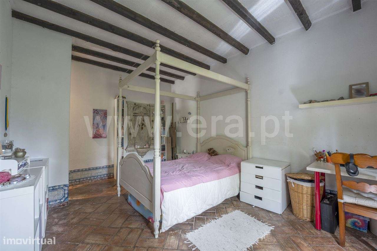 Magnifica Quinta T7; Verdizela-13