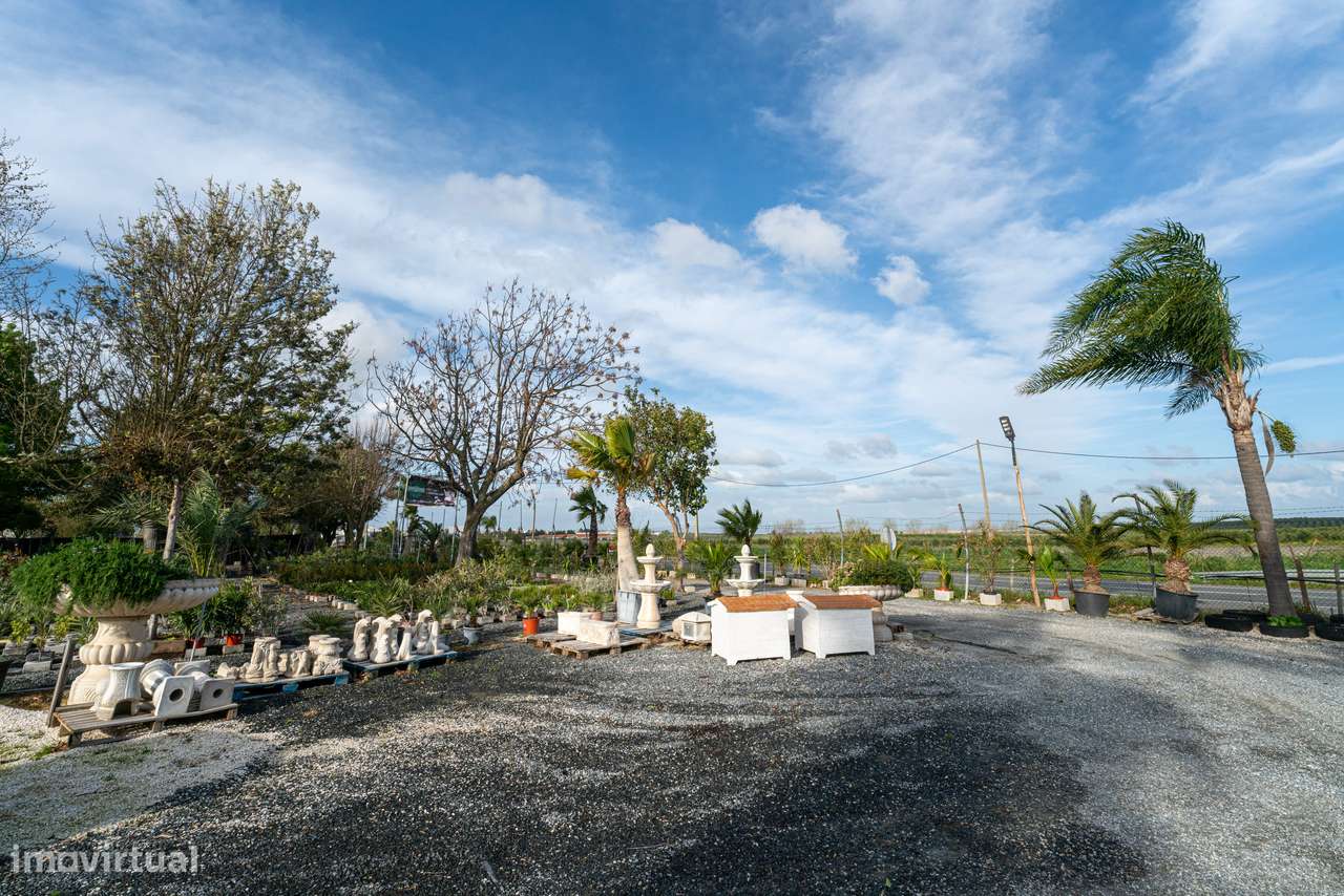 Trespasse de Centro de Jardinagem – Negócio Completo e Equipado - Beja-13