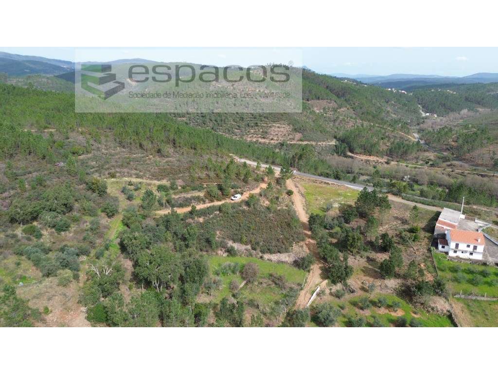 Terreno agrícola com 2 poços - Cerejeira - Grande imagem: 2/8