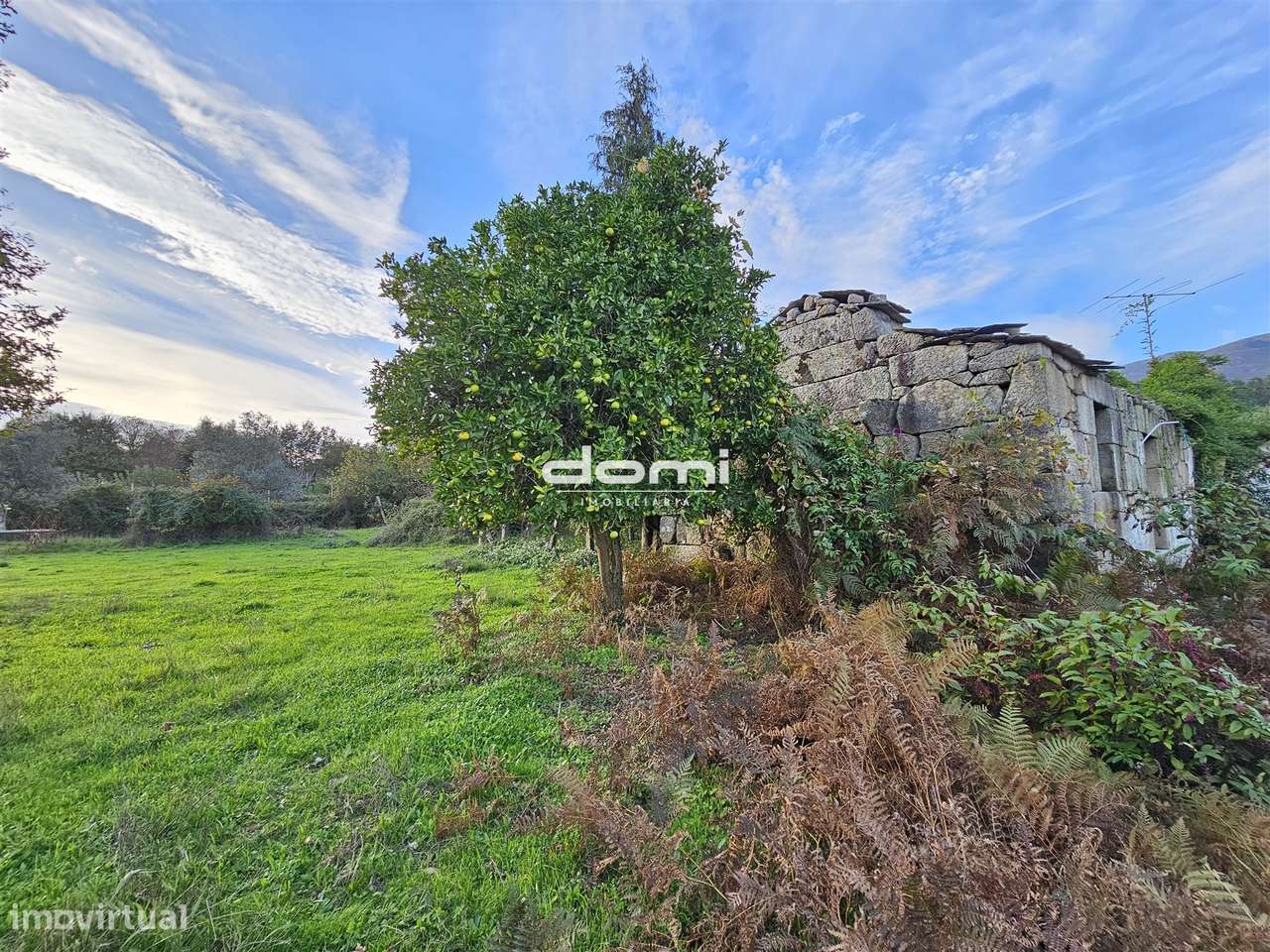 Moradia em pedra para reabilitar com grande potencial em Mourel, Carva - Grande imagem: 5/13