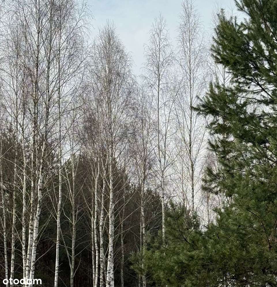 Do Parku Chojnowskiego 400 m, blisko do pociągu-4