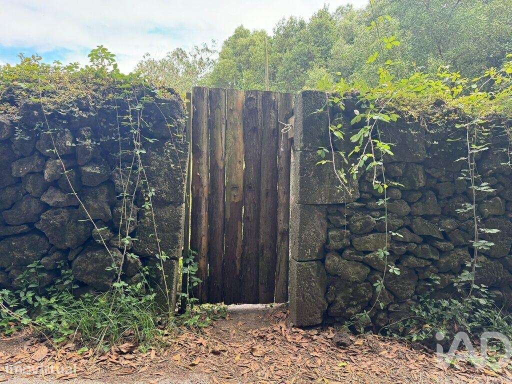 Terreno Agrícola em Lagoa (Nossa Senhora do Rosário) - Grande imagem: 5/9