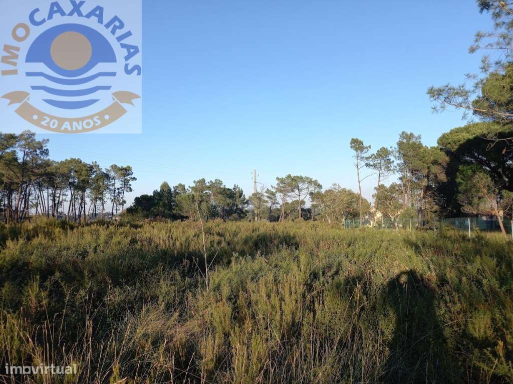 Terreno para construção - Grande imagem: 3/11