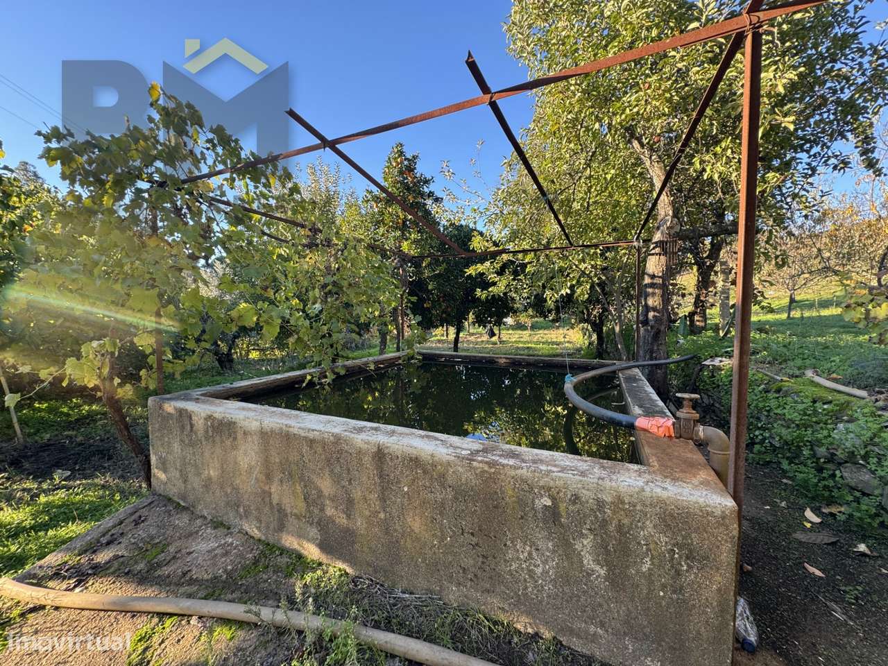 Quinta  Venda em Escalos de Baixo e Mata,Castelo Branco - Grande imagem: 5/31