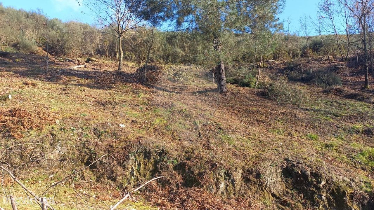 Terreno  para venda