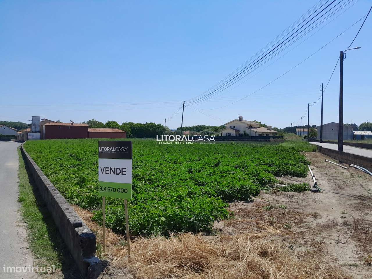 Terreno para construção com 2900m2 | Troviscal - Grande imagem: 5/12