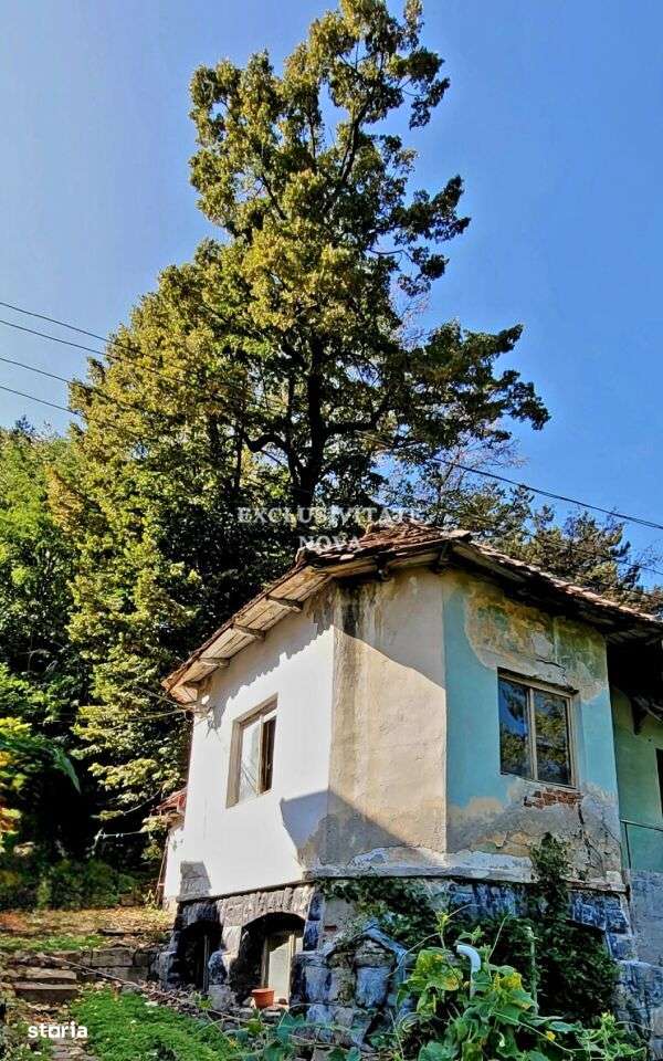 0% Vanzare teren si constructie Locatie de exceptie Calimanesti Calea-11