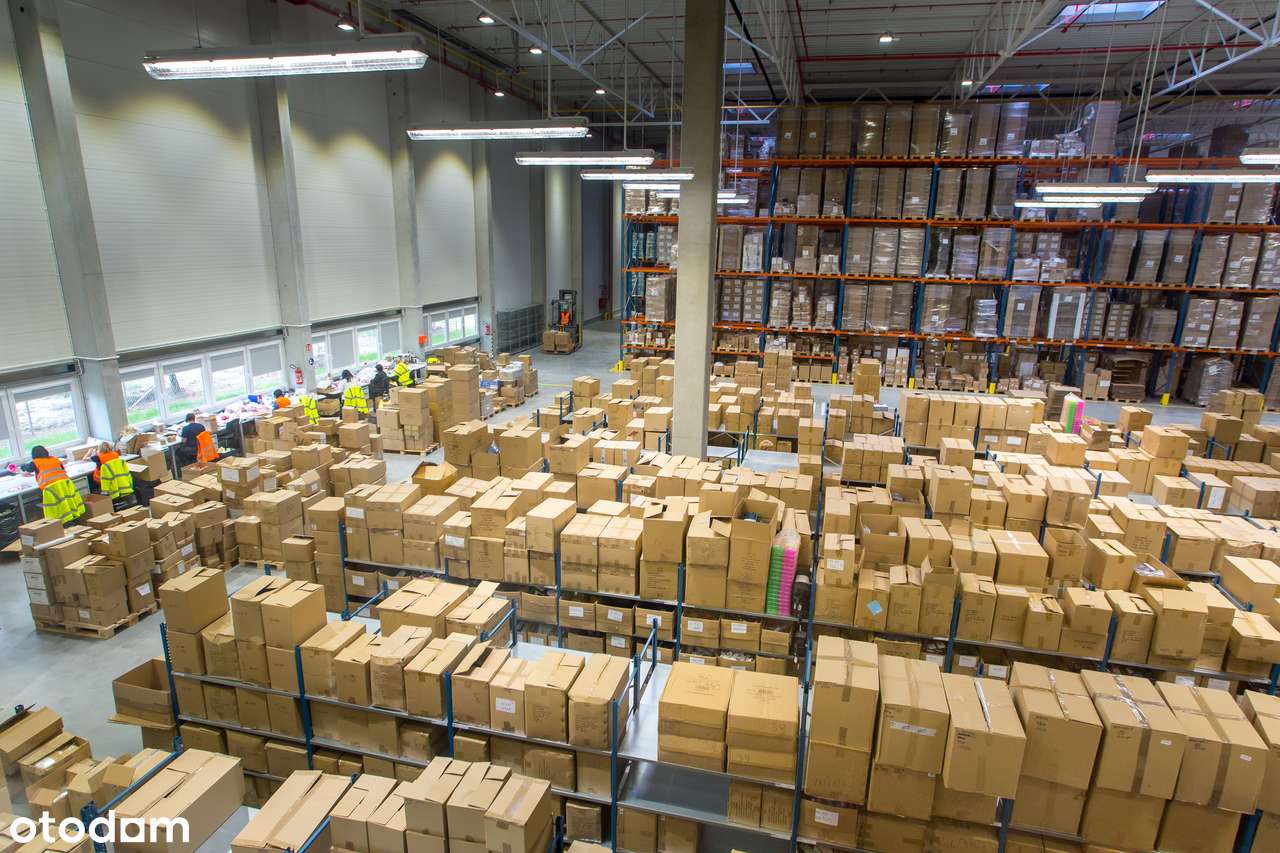 POWIERZCHNIA MAGAZYNOWA PODNAJEM. ŁÓDŹ WIDZEW 2700 m2 - Pełny obrazek: 5/5