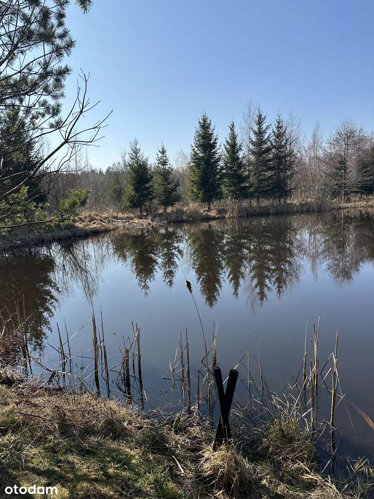 Dom z własnym jeziorem-1