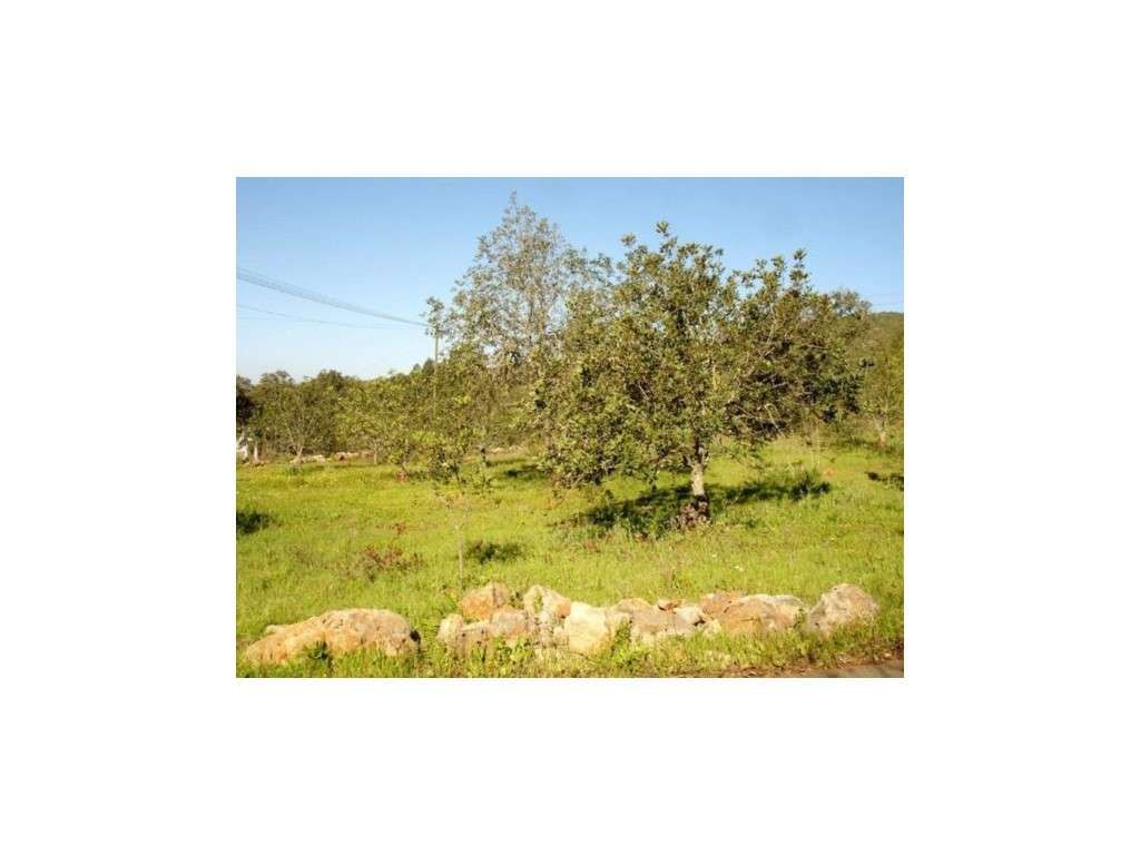 Terreno urbano com projecto de 9 moradias V3, em Funchais da Tôr, a... - Grande imagem: 4/8