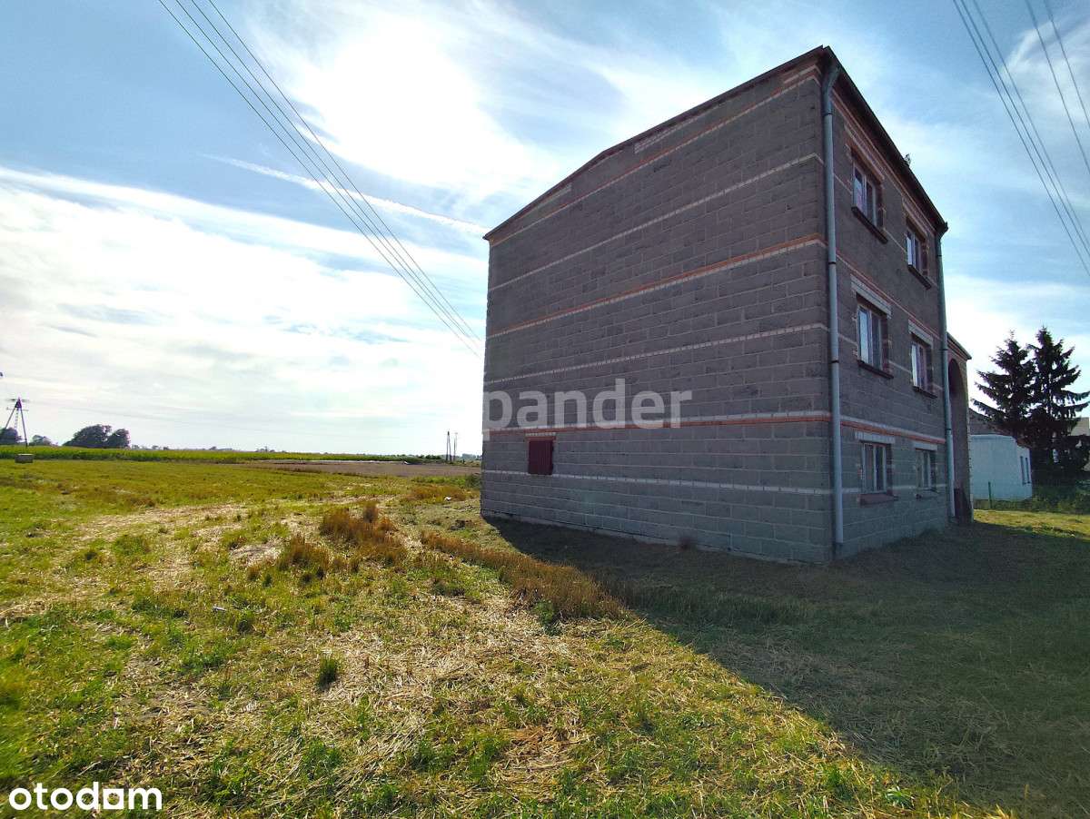 Dom do wykończenia duża działka 5000m2 Kołaczkowo - Pełny obrazek: 5/20