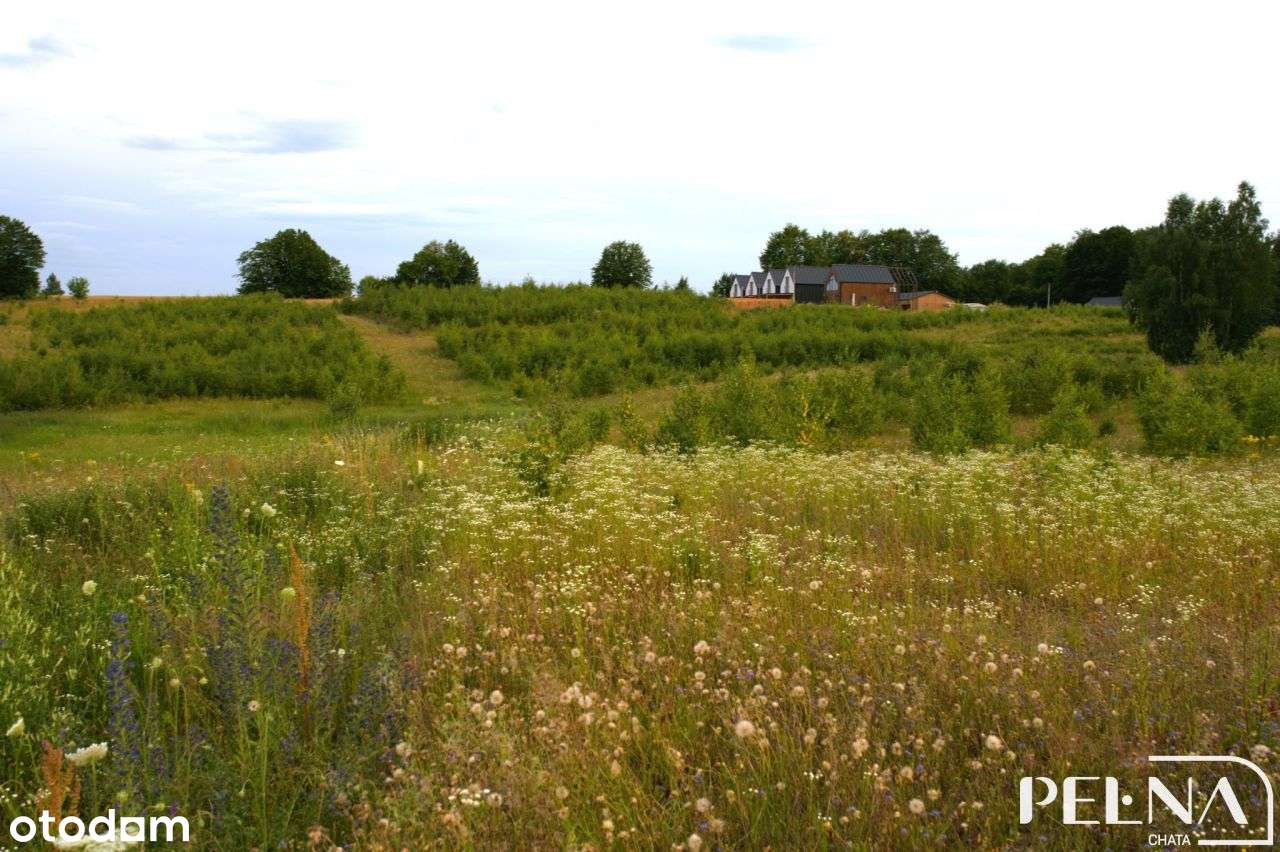 Działka rekreacyjna nad jeziorem koło Kościerzyny-10