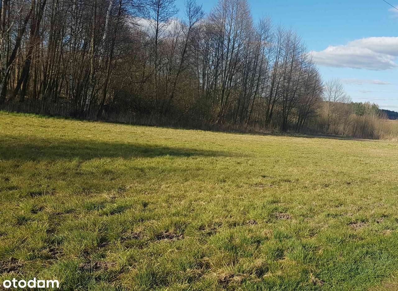 Działka rolno- budowlana - Pełny obrazek: 5/7