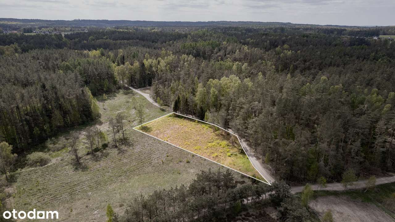 Malownicza działka z Warunkami zabudowy – Bieszkowice, ul .Polna - Pełny obrazek: 5/7