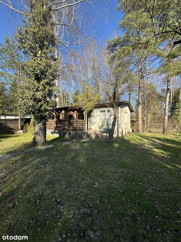 Działka w Gałkówku Małym o pow.650m2 + domek 42m2 - Pełny obrazek: 3/15