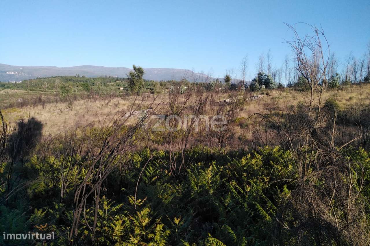 Terreno 8.533m2 em Sameice - Seia - Grande imagem: 5/21