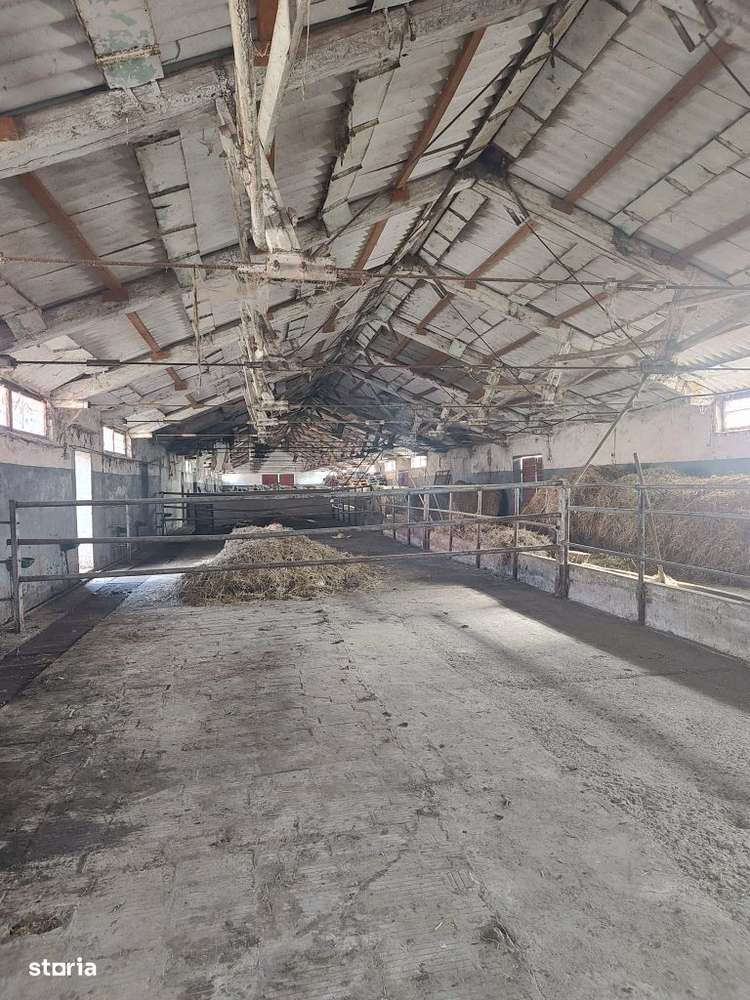 De vanzare grajduri in Barsau - Imagine principală: 5/18