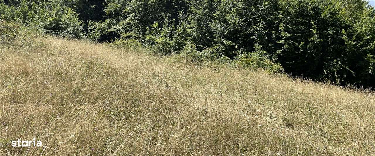 Teren Extravilan în mijlocul naturii. - Imagine principală: 4/20