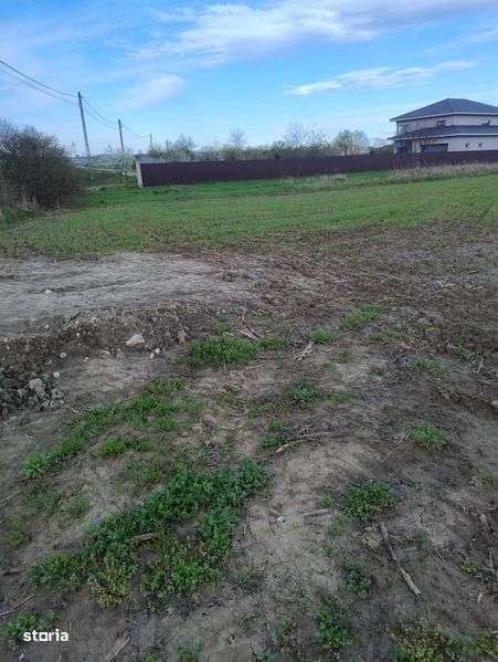 Vând teren intravilan-Moi - Imagine principală: 4/5