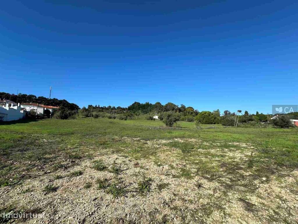 Vinha do Alarcão - Grande imagem: 2/7