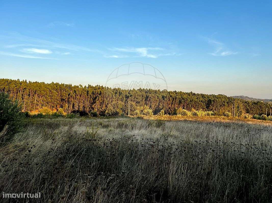 Terreno  para venda - Grande imagem: 3/5