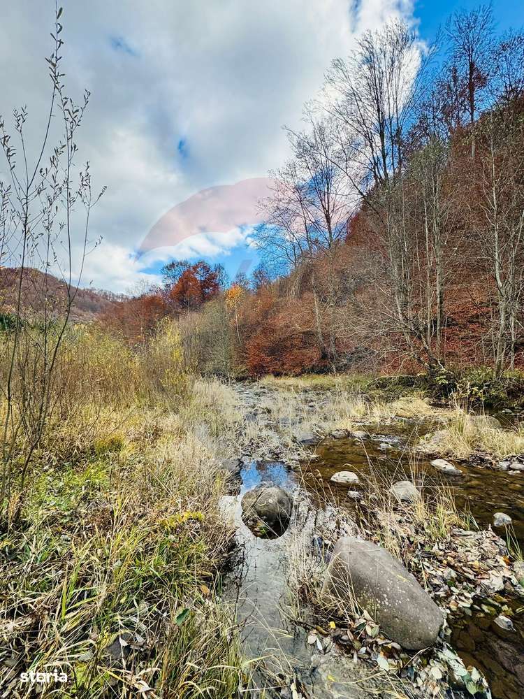 Teren 4,877mp Mara / Strada Principala - Imagine principală: 3/8