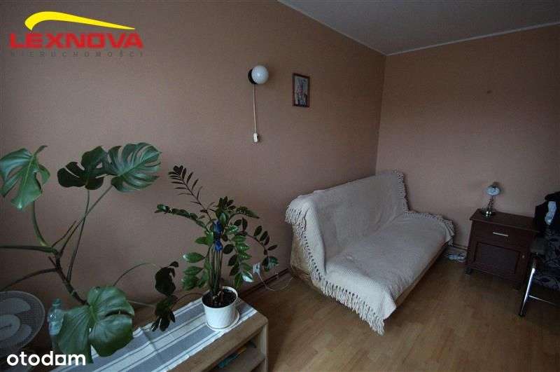 Mieszkanie - Elblag-13