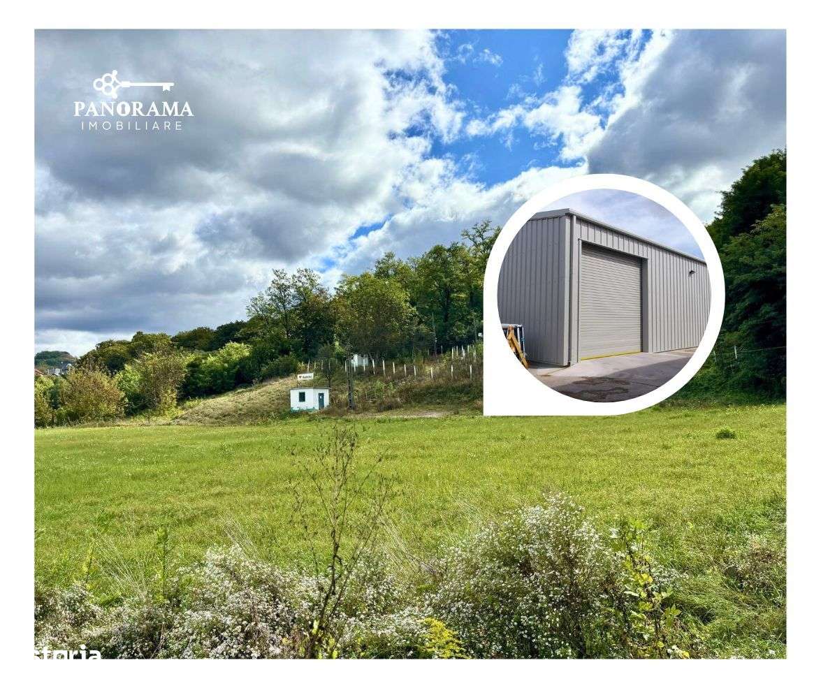 Teren intravilan de Închiriat - 5.000 mp - Imagine principală: 4/5