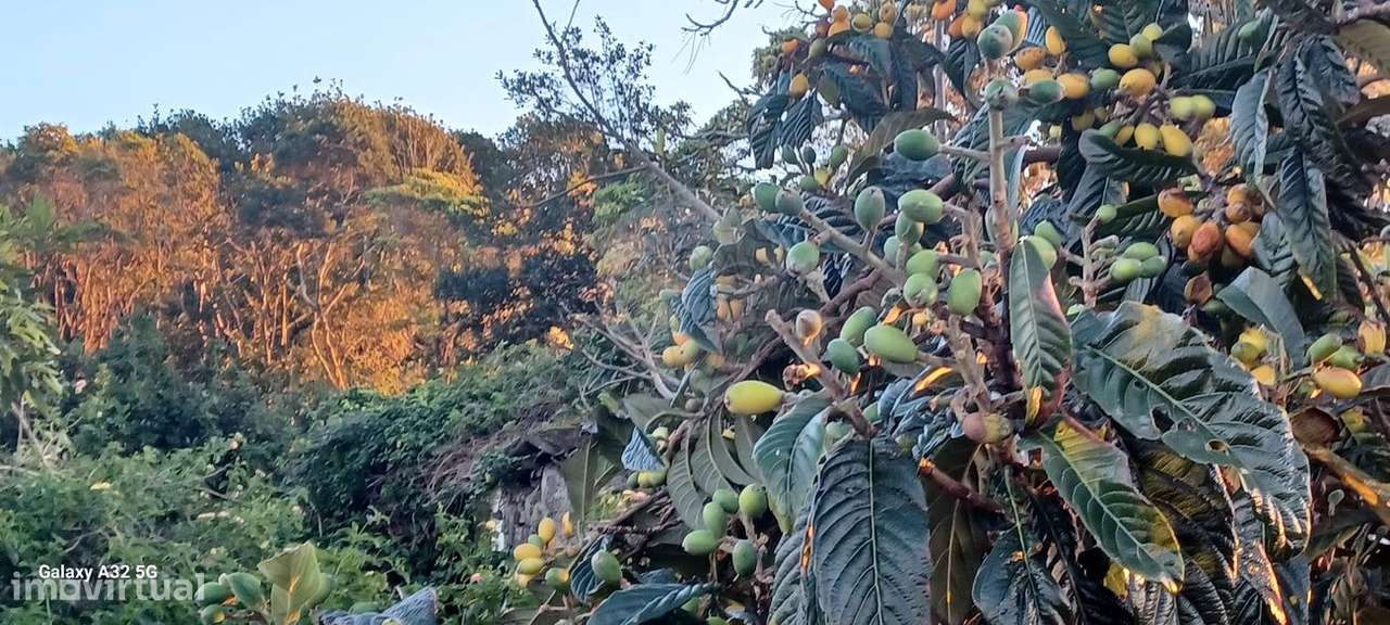 Terreno  para venda - Grande imagem: 4/7