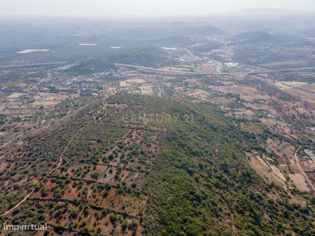 Terreno rústico com 3,8 hectares, S.B.Messines - Grande imagem: 5/8