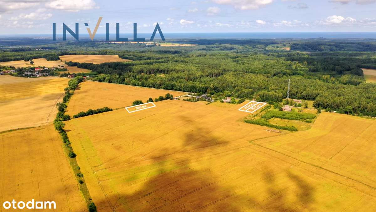 Atrakcyjna Działka Na Pobrzeżu Kaszubskim - Pełny obrazek: 5/6