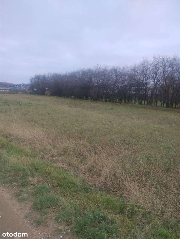 Działka Morasko - Pełny obrazek: 2/5