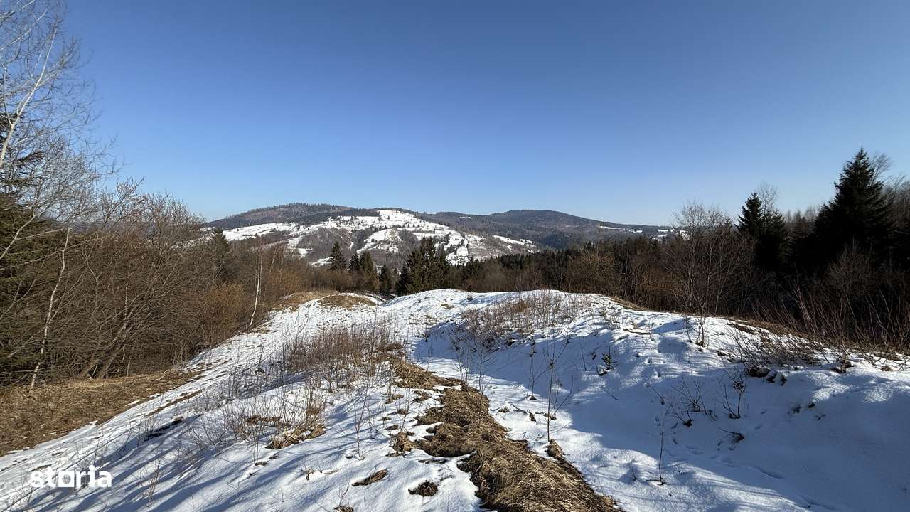 Teren extravilan 2.1 ha Sălătruc, Vama-5