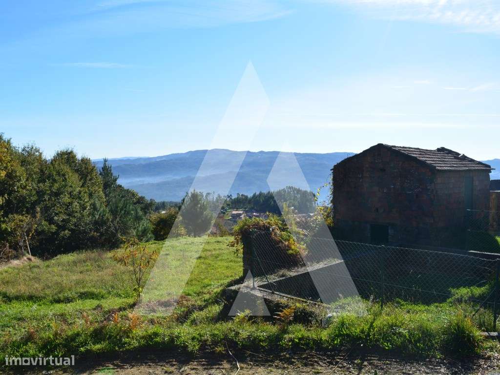 Terreno para construção em Rocas do Vouga! - Grande imagem: 4/20