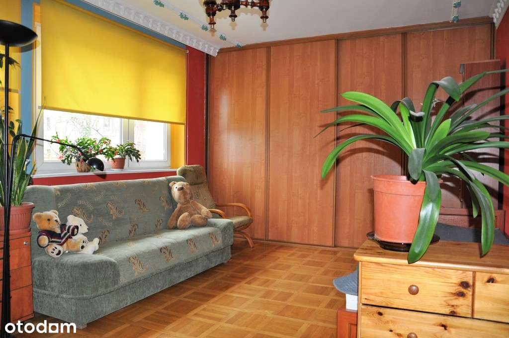 Dom z działką położony w cichej okolicy Jarocina.-3