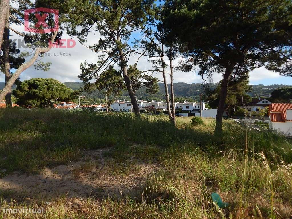 PIP APROVADO - COLARES - Grande imagem: 4/28